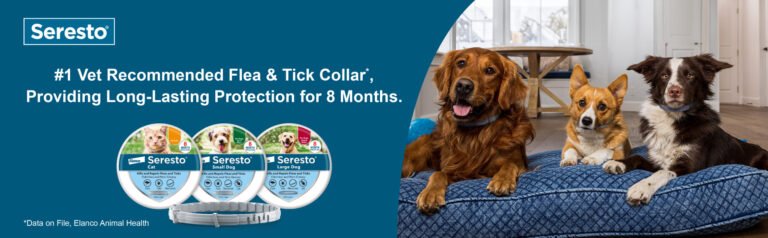 Are Seresto Collars Waterproof: Complete Guide to Water Resistance