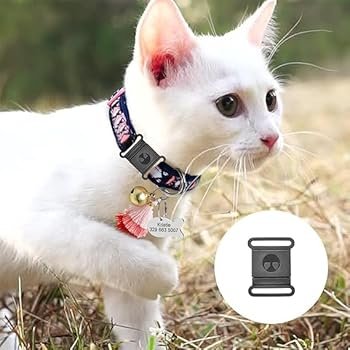 Cat Breakaway Collar Safety Release Mechanism Features