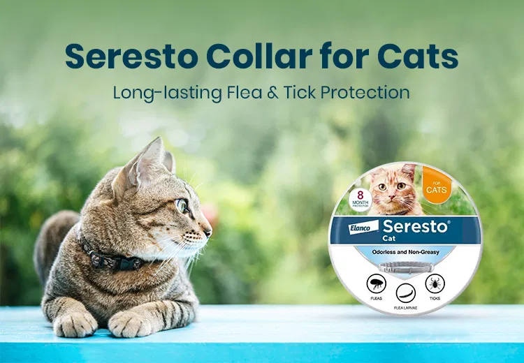 Cat Flea & Tick Collar Protection: Ultimate Seresto Standard Guide