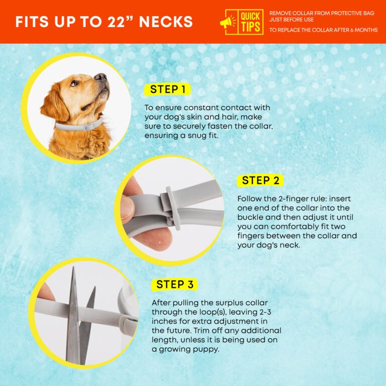 Flea Prevention Collar Not Working: Troubleshooting Guide for Active Dogs