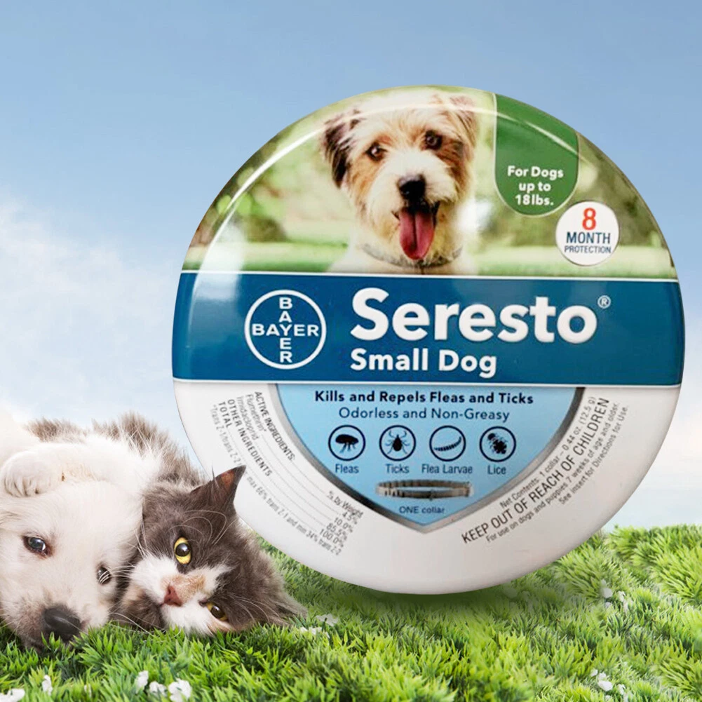Seresto small dog flea collar for dogs under 18 lbs with 8 months continuous flea tick and lice prevention for puppies and small breeds