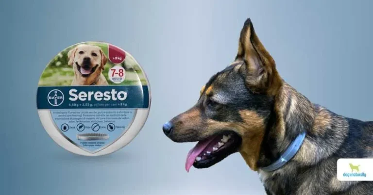 Is Seresto Safe for Dogs: Complete Safety Guide and Product Variations