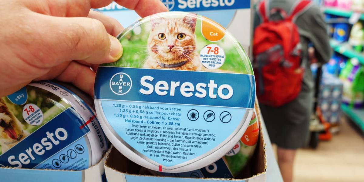 Happy pets protected by Seresto flea collar enjoying outdoor activities with their families